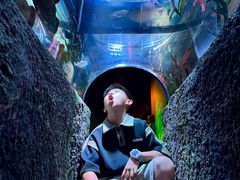 -沈阳海洋探索中心