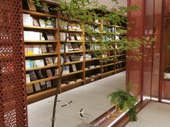 -二酉书店TOYOU BOOKS