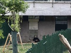 -沈阳森林动物园