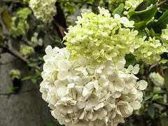 -大龙山(地铁站)