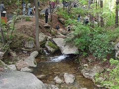 -王顺山国家森林公园