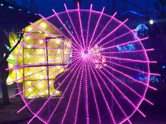 -南宫五洲植物乐园