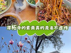 -潭柘寺景区