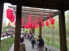 -合肥滨湖国家森林公园