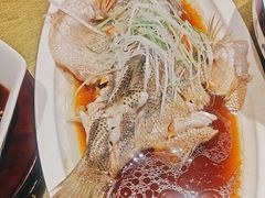 -院8里·小乐园家常味川菜(鹭洲里店)