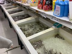 -鲜选M6(阳光丽园二期店)