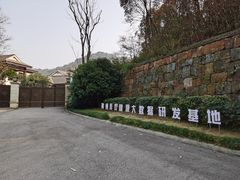 -桃花岭景区