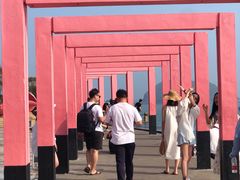 -漳州滨海火山岛自然生态风景区