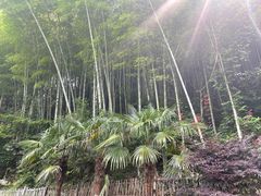 -丹山赤水风景名胜区