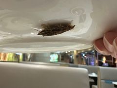 -顺德公猪肚鸡·椰子鸡(惠东天虹店)