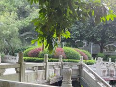 -国恩寺