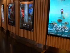 -上海金逸影城(静安大悦城店（原新恒星影城）)