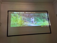 -大观园影院式足浴Spa店(沙坪坝店)