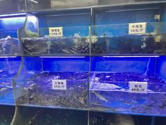 -秧秧鱼小鱼火锅(冉家坝总店)