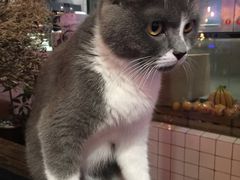 -MIKAKU(万达广场上海宝山店)