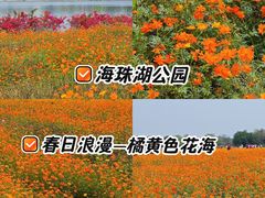 -海珠湖公园
