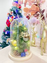 -敦南真爱月子会所(黄埔店)