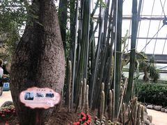-南山植物园