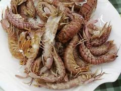 -烁佳海鲜大馅饺子