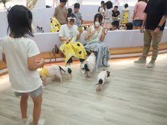 -猪盟咖啡店(玖洲道店)