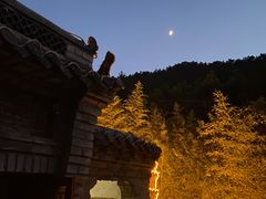 -老张烤羊(王哥庄店)