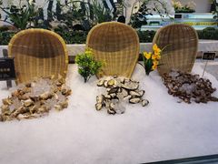 -川骄海鲜自助(河东店)
