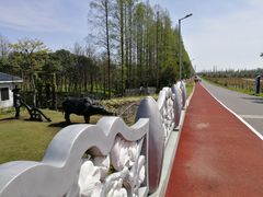 -上海长兴岛郊野公园