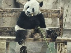 -无锡动物园·太湖欢乐园