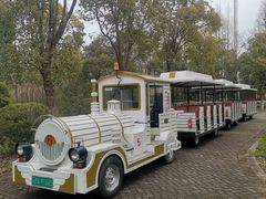 -上海海湾国家森林公园