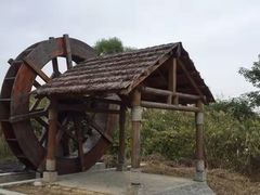 -同里国家湿地公园