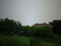 -御林古桑园