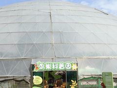 -盈香心动乐园