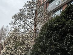 -南京晨光1865创意产业园