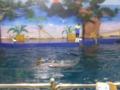 -石家庄市动物园