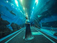 -成都浩海立方海洋公园