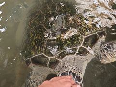 -硇洲岛旅游区