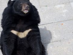 -大连森林动物园