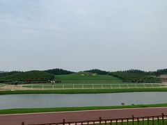 -迪茵湖田家舍生态农场