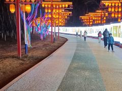-青龙湖公园