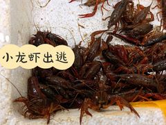 -渔人湾码头海鲜市场负二楼