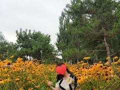 -东郊湿地公园