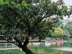 -晓港公园