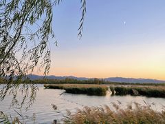 -野鸭湖国家湿地公园