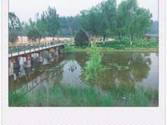 -东郊湿地公园