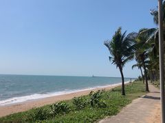 -胡仕光陵水酸粉