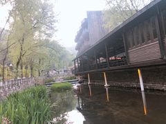 -Local泰莲庭(虹鳟鱼店)