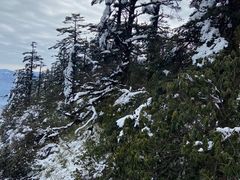 -瓦屋山景区