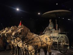 -秦始皇帝陵博物院(兵马俑)