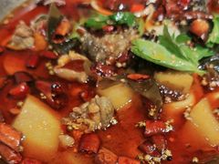 -晓彭肥肠鸡·泡椒鸡火锅(水木天地店)