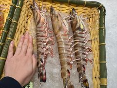 -蚝老板海鲜烧烤大排档(码头店)